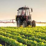 Tunisie : l’ARP adopte une loi pour la régularisation des prêts agricoles non performants