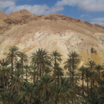 Tozeur : lancement d’une opération de reboisement à Hezoua pour lutter contre l’ensablement