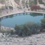 Tozeur – Tourisme durable : Raviver les visites autour de la Corbeille de Nefta