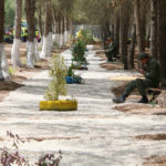 Conservation en Tunisie : la plateforme SMART au service des gardiens de forêts et de la biodiversité