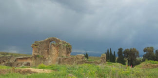 Mois du patrimoine en Tunisie : Bulla Regia au cœur de la valorisation du patrimoine architectural