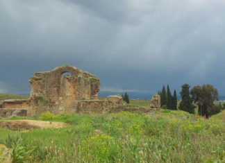Mois du patrimoine en Tunisie : Bulla Regia au cœur de la valorisation du patrimoine architectural