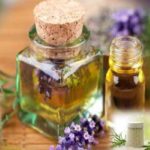 Webinaire CEPEX Milan : Exportation d’Ingrédients Cosmétiques Tunisiens vers l’Italie