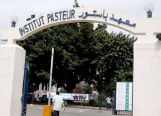 Recherche génétique en Tunisie : journée scientifique sur les maladies rares à l’Institut Pasteur de Tunis Institut Pasteur