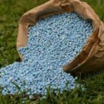 Agriculture : l’insuffisance d’ammonitrate à Siliana et au Kef inquiète les agriculteurs