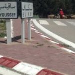 Sakiet Sidi Youssef : réhabilitation des stations de pompage et renforcement de l’eau potable