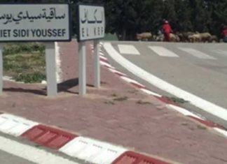 Le Kef : Forte affluence des touristiques algériens aux postes frontaliers