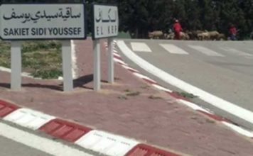 Le Kef : Forte affluence des touristiques algériens aux postes frontaliers