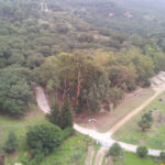 Ain Draham : Les habitants d’Al Hamran obtiennent gain de cause contre la pollution du poulailler