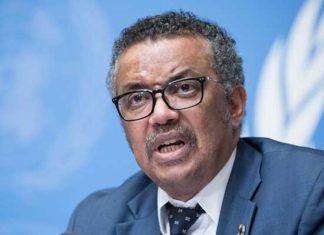 Virus Hanta : l’OMS annonce une fin proche de l’épidémie et une situation sanitaire stable