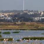 Sijoumi : une étude de 24 mois pour aménager les rives du lac et améliorer la qualité de vie