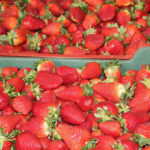 Les fraises du marché de Bir Kassaa réservées aux commerçants détenteurs de patentes