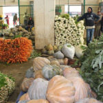Ramadan : le marché de gros de Bir El Kassaa en crise face à la désertion des agriculteurs