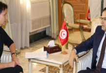 Noureddine Erray reçoit l’ambassadeur de la Suède en Tunisie