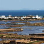 Ghar El Melh : les cultures « Ramli » menacées par le changement climatique et l’urbanisation