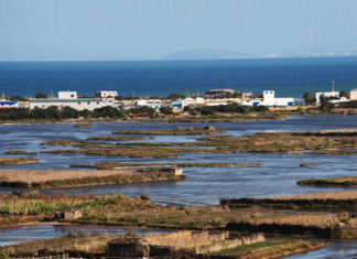 Ghar El Melh : les cultures « Ramli » menacées par le changement climatique et l’urbanisation