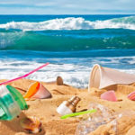 WWF Afrique du Nord lance l’initiative « Adoptez une plage » pour protéger le littoral