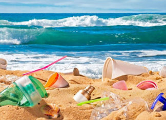 WWF Afrique du Nord lance l’initiative « Adoptez une plage » pour protéger le littoral
