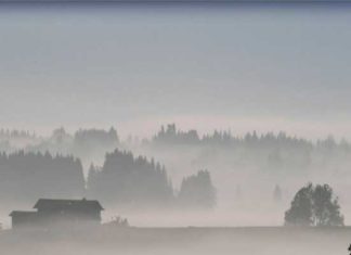 Tunisie : lancement du programme “Ceinture verte” à Sidi Bouzid pour lutter contre la désertification