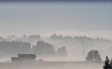 Tunisie : lancement du programme “Ceinture verte” à Sidi Bouzid pour lutter contre la désertification