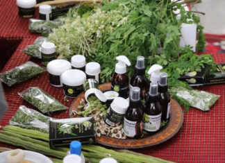 Agriculture biologique en Tunisie : un salon pour booster la compétitivité et les exportations