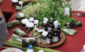 Agriculture biologique en Tunisie : un salon pour booster la compétitivité et les exportations