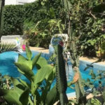 Tunisie : une journée inclusive au Jardin botanique pour sensibiliser les personnes malvoyantes à l’environnement