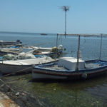 Tunisie : repos biologique de 3 mois pour la pêche au chalut au sud de Ras Kaboudia en 2026