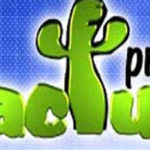 Le SNJT appelle le gouvernement à régler la situation de “Cactus Prod”