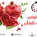 Tunisie : valorisation de la grenade avec le Festival de Testour en perspective de l’AOC