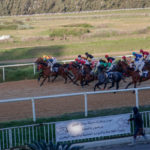 La Tunisie mise sur 6 cavaliers pour les JO de Los Angeles 2028