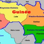 Boycott de produits tunisiens par des commerçants guinéens, sénégalais et ivoiriens