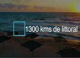 Tunisie : miser sur les solutions naturelles pour protéger le littoral face au changement climatique