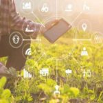 Agriculture : Bayer renforce sa présence et mise sur l’innovation agricole durable Agriculture Techno