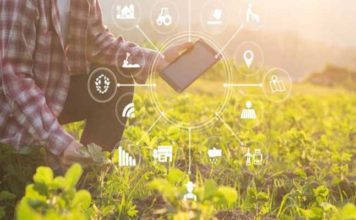 Sécurité alimentaire : un prix arabe doté de jusqu’à 15 milliards de dollars Agriculture Techno