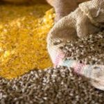 Monastir : création de l’Entreprise communautaire régionale Sanabel pour les services agricoles à Jammel