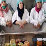 Kasserine : 25 projets féminins financés pour 841 mille dinars dans le cadre du programme Raidet
