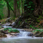 Tunisie : Lancement du projet DARAL 2 pour un développement agricole durable Oued