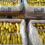 Ben Arous : Saisie de 4,3 tonnes de bananes