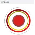 Tunisie – plateforme Evax.tn: Comment obtenir un pass vaccinal provisoire sur votre téléphone?