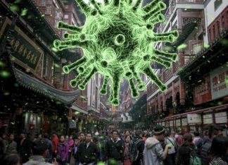 Corona Virus