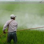 Campagne agricole 2022-2023 : Pas d’augmentation de prix des engrais chimiques destinés à la production agricole Agriculture