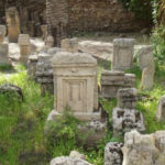 Les meilleurs projets pour le Musée national de Carthage et l’Acropole de Byrsa