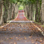 L’automne 2022 le plus sec depuis 1950 et le plus chaud depuis 2014