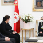 Knauf veut élargir ses projets en Tunisie