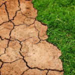 Calamité agricole : 12 gouvernorats éligibles aux indemnisations pour déficit pluviométrique