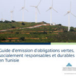 CMF : Publication d’un guide d’émission d’obligations vertes, socialement responsables et durables