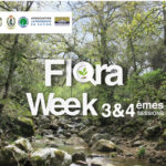 WWF TUNISIE : Un stage de redécouverte de la flore et de l’écologie “FLORA WEEK” à Aïn Draham