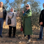 L’Institut de l’olivier abrite la 4ème édition du “Concours de la meilleure huile d’olive monograde”