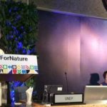 L’Assemblée de l’ONU pour l’environnement va créer un panel science-politique sur la gestion durable des produits chimiques